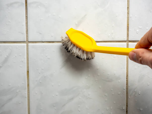Mold Testing and Removal in Mount Washington, KY