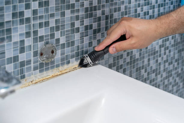 Best Mold Cleaning Services  in Mount Washington, KY